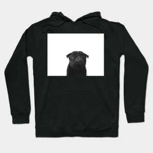 Hugo The Black Pug // Hoodie